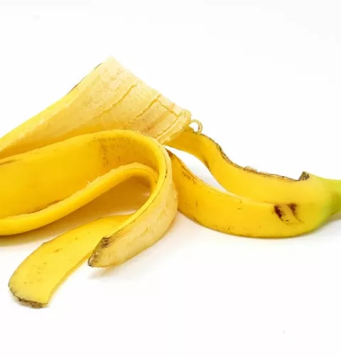 Pode jogar casca de banana nas plantas?