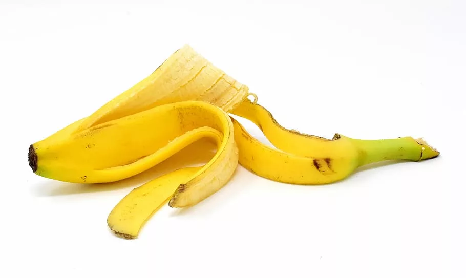 Pode jogar casca de banana nas plantas?